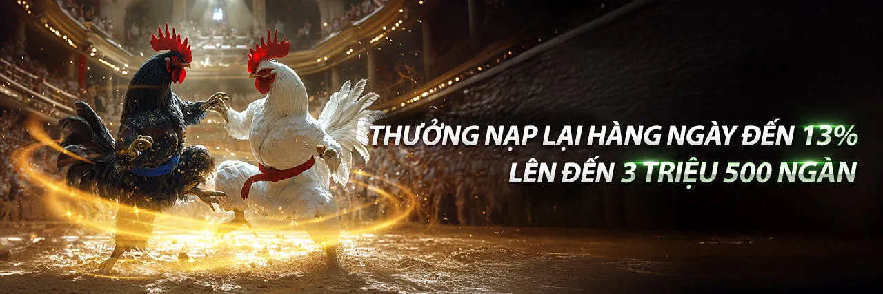 Đá gà trực tuyến helo88 - Sân đấu kịch tính